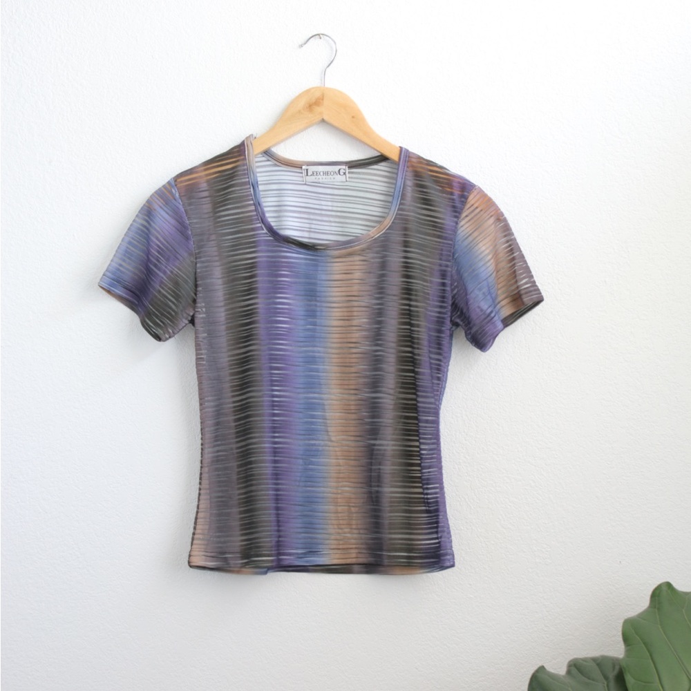 90’s style Sheer Crop Top